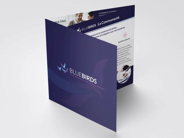 <span>Bluebirds</span><i>→</i>