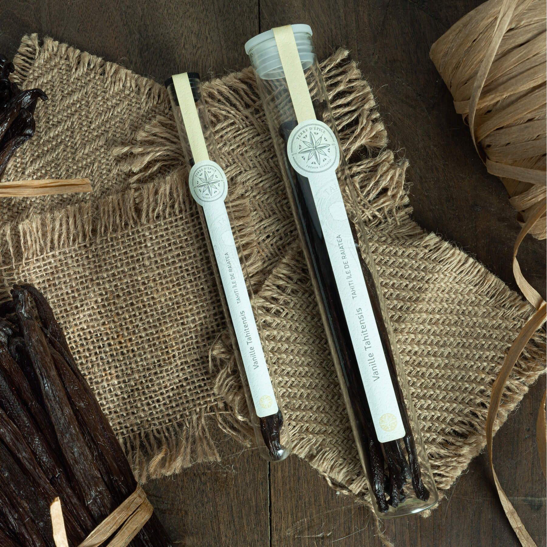 OfélieDesign - Terre d'épice 1