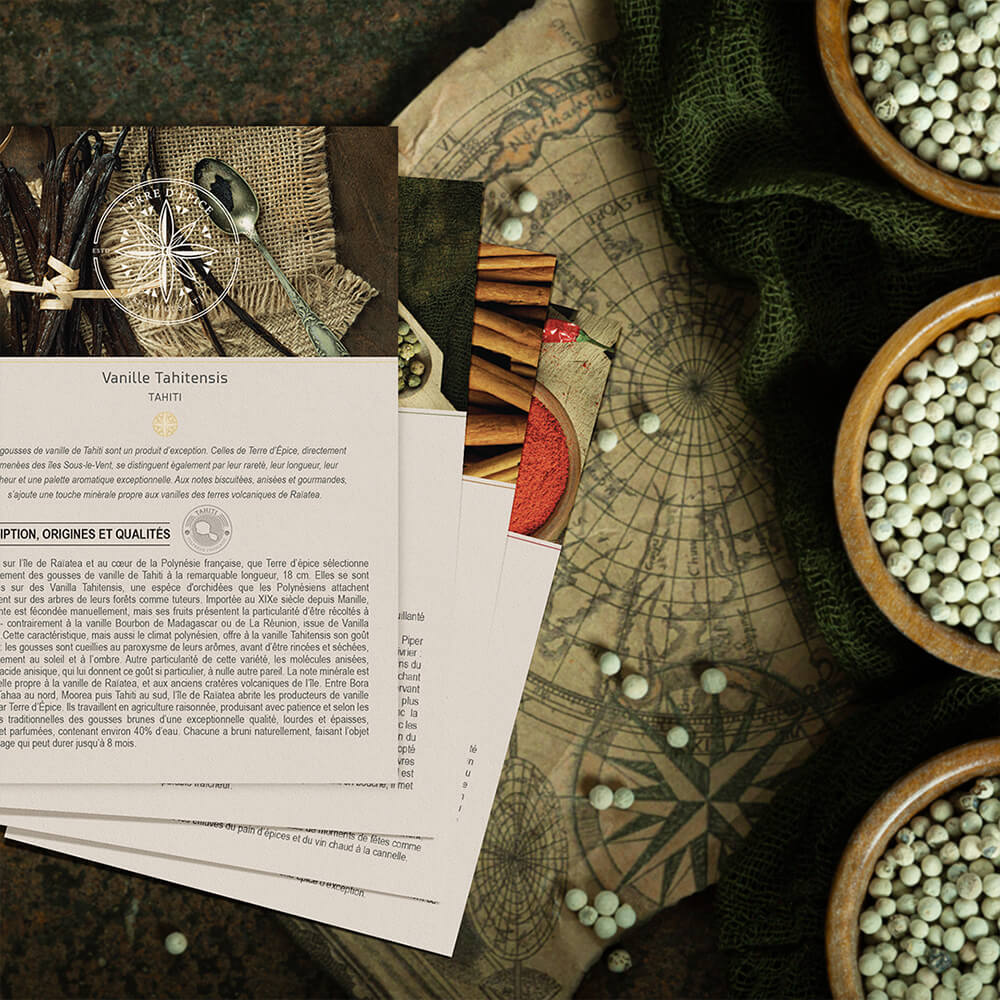 OfélieDesign - Terre d'épice