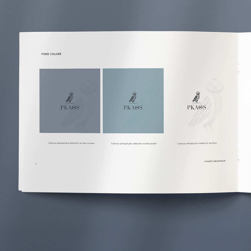 PKAOS_CharteGraphique_couleur